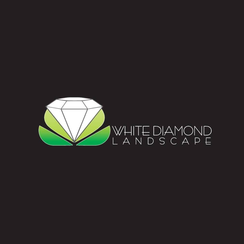 White Diamond Landscape color logo