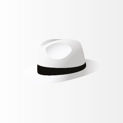 White Hat Gaming color logo