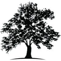 White Oak Global Advisors color logo