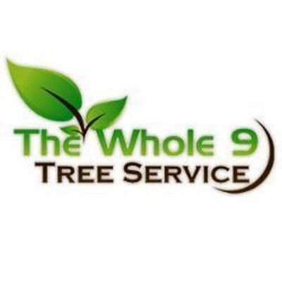 Whole 9 Tree Service color logo
