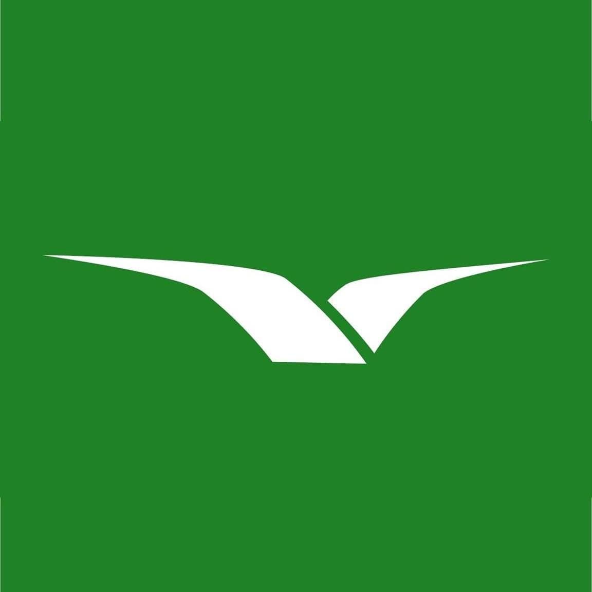Wideroe color logo