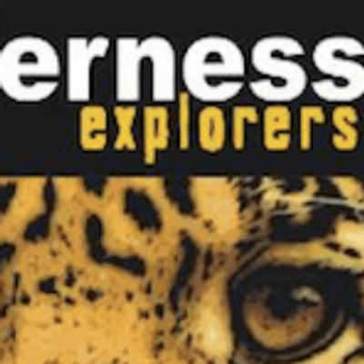 Wilderness Explorers color logo
