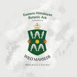 Wild Mahseer