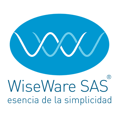 WiseWare SAS color logo