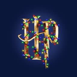 Wizarding World