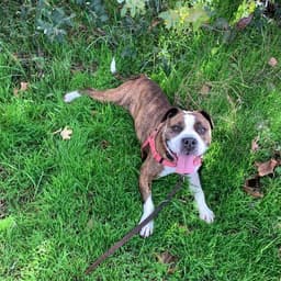 Woods Humane Society