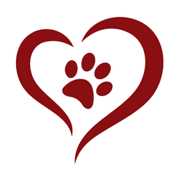 World Dog Finder