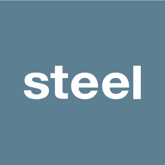 Worldsteel color logo