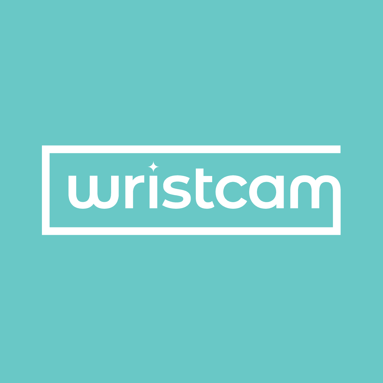 Wristcam color logo