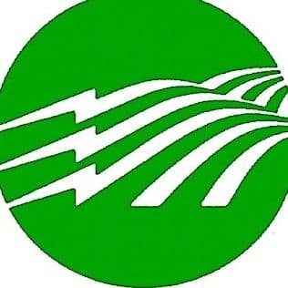 Washington-St. Tammany Electric Cooperative color logo