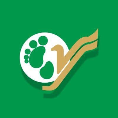 Yeti Airlines color logo