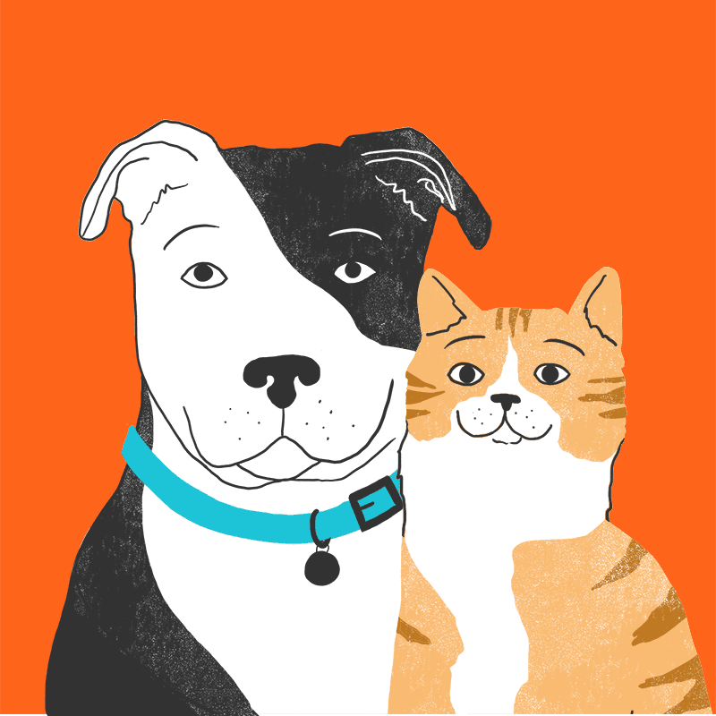 Zoetis Petcare color logo