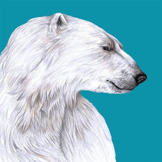 Zoo Rostock color logo