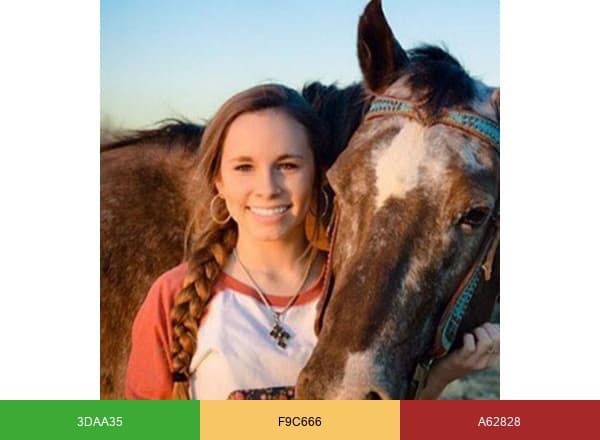 100X Equine brand color palette