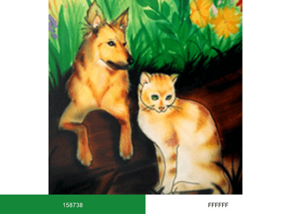 WHISKERS HOLISTIC brand color palette