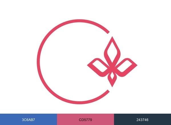 360 I Virtus brand color palette