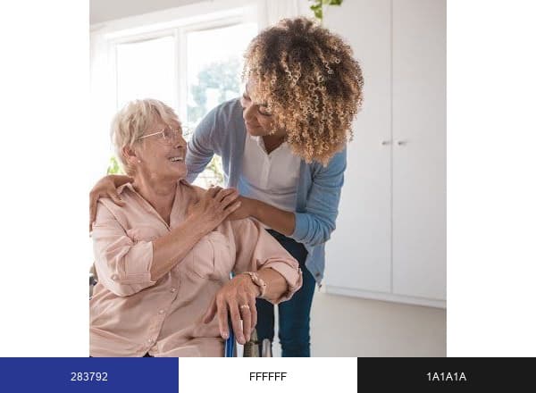 365 In-Home Care brand color palette