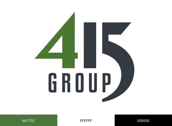 415 Group brand color palette