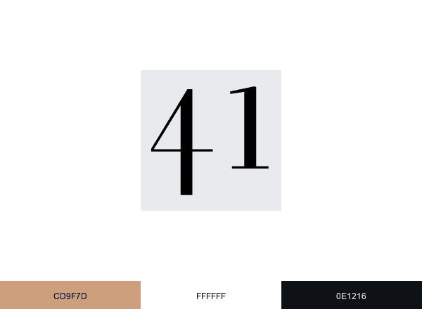 41WATCH.com brand color palette