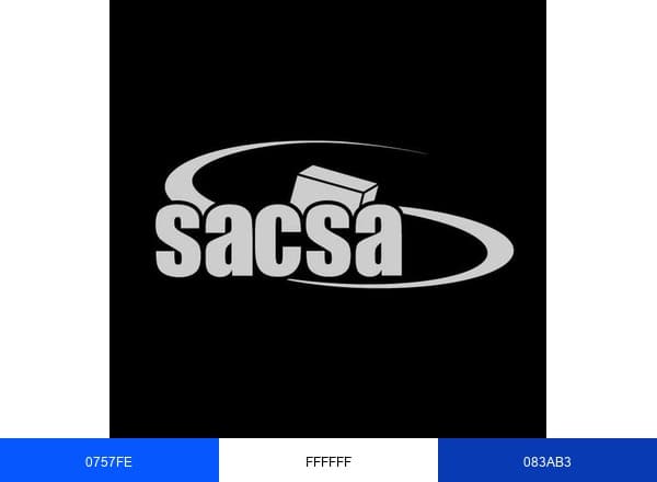 Agencia Aduanal SACSA brand color palette