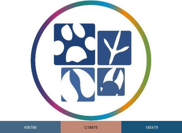 AAVSB brand color palette
