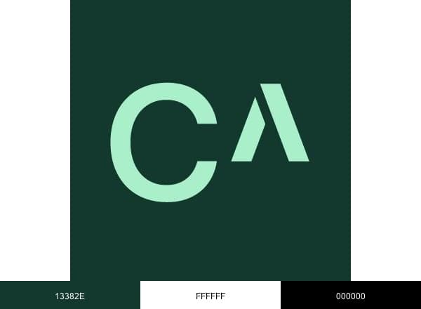 CARET brand color palette