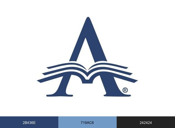 Ambassador Education brand color palette