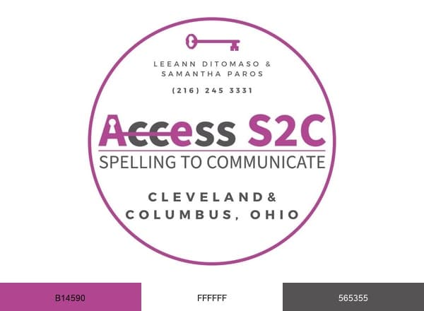 Access S2C brand color palette