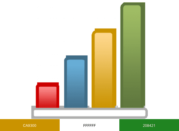 AccountsPortal brand color palette