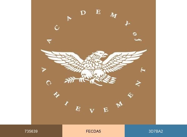 American Academy of Achievement brand color palette