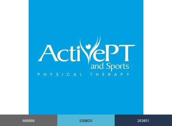 ActivePT brand color palette