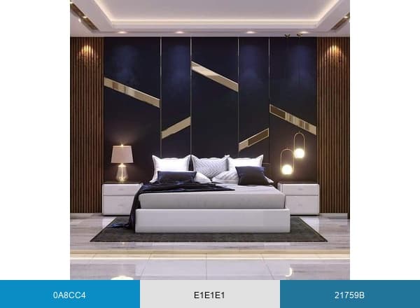 Interior Designers Vizag brand color palette