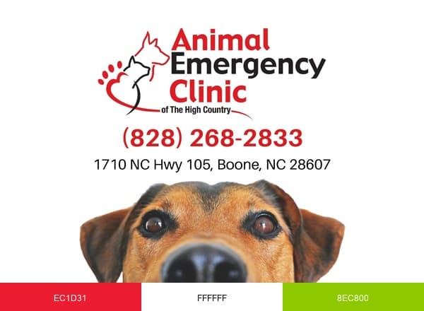 Animal Emergency Clinic of the High Country brand color palette