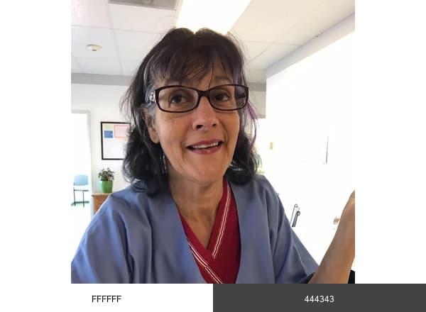 Pet Wellness Center LLC brand color palette