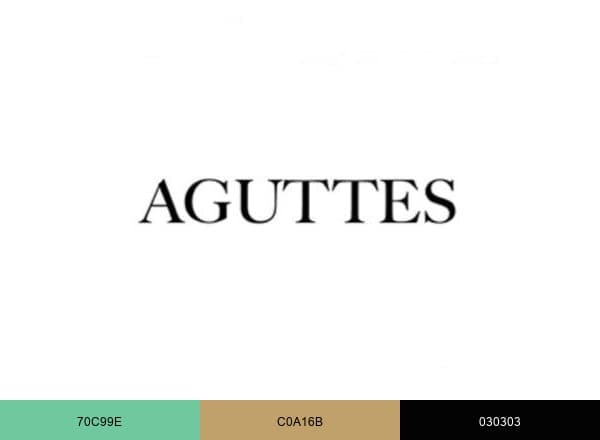 Aguttes brand color palette