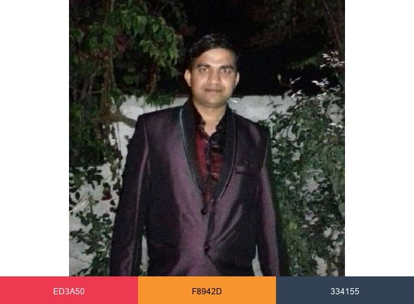 Vikash Kumar brand color palette