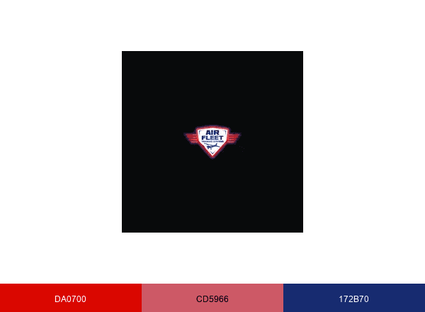 Air Fleet Training brand color palette