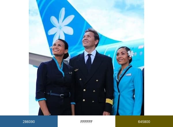Air Tahiti Nui brand color palette