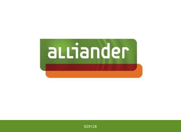Alliander brand color palette