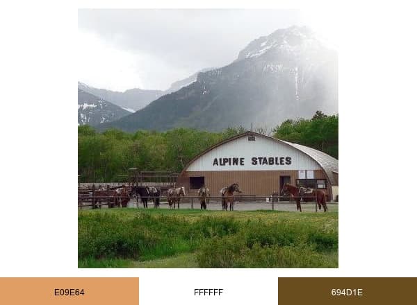 Alpine Stables brand color palette