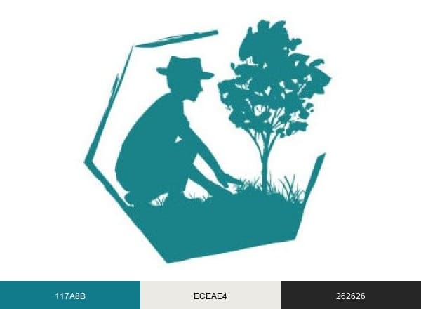 Les Alvéoles brand color palette