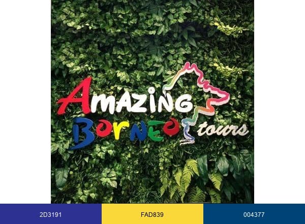 Amazing Borneo brand color palette