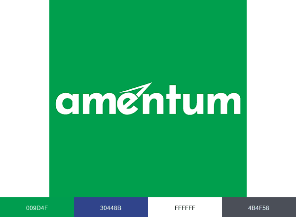 Amentum brand color palette