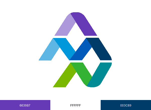 AMN Healthcare brand color palette