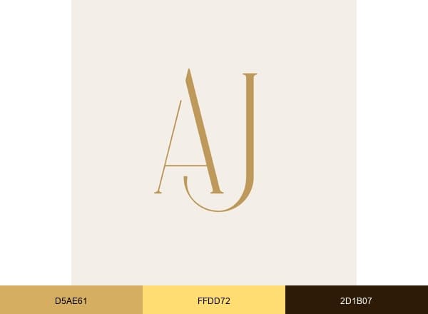 Amrusha Jain brand color palette