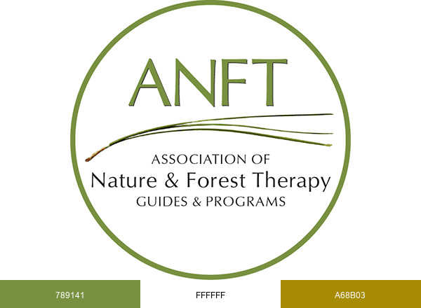 ANFT brand color palette