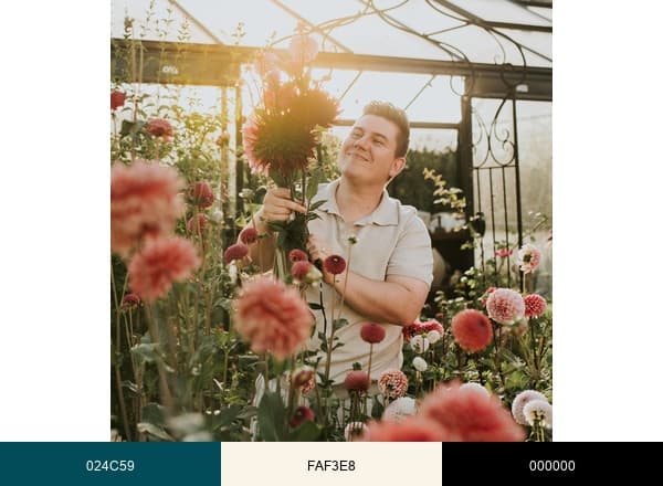 Angelo brand color palette