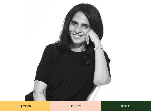 Anita Dongre brand color palette