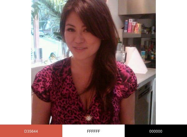 Anita Ko brand color palette