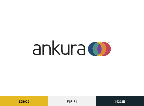 Ankura Consulting Group brand color palette